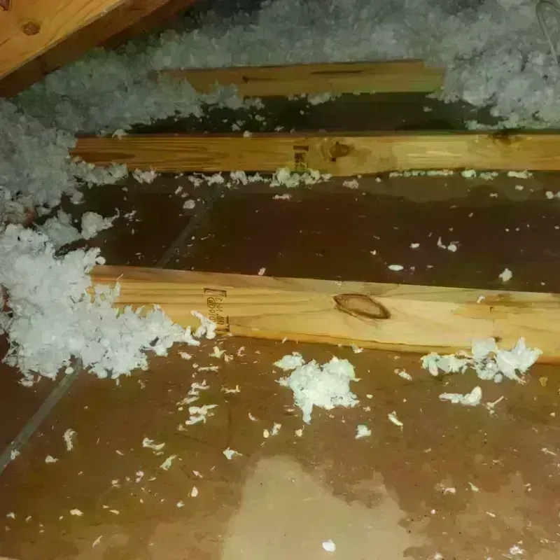 Attic Water Damage in Georgetown, IN