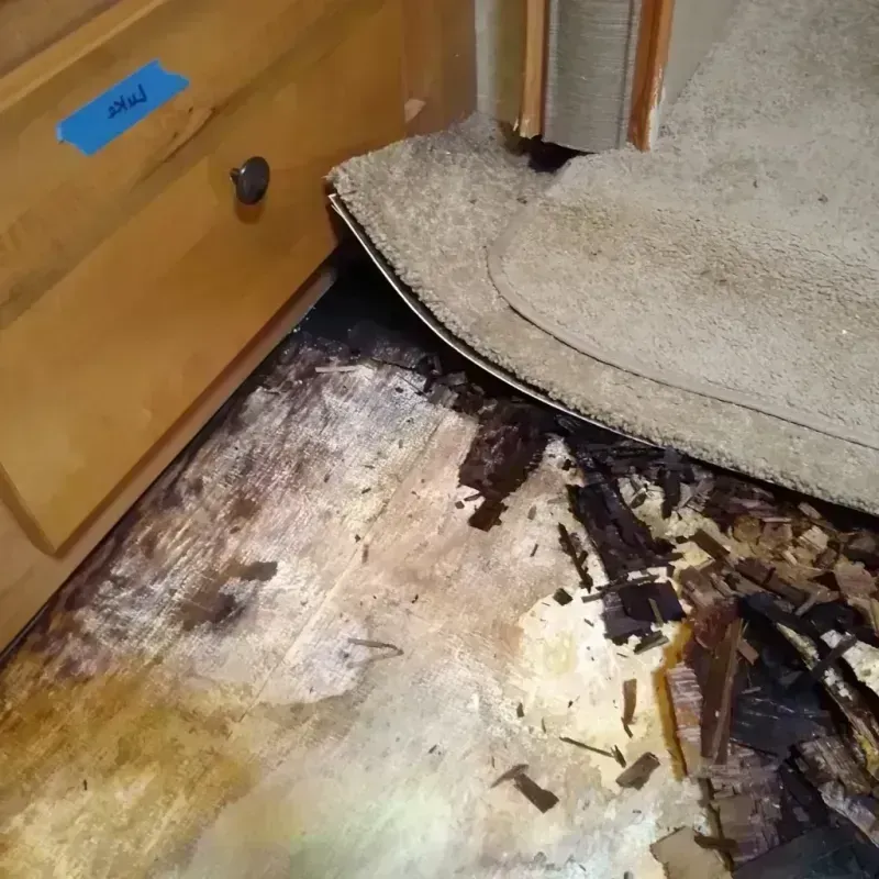 Best Wood Floor Water Damage Service in Georgetown, IN